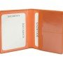 Etui na dokumenty RFID 611119