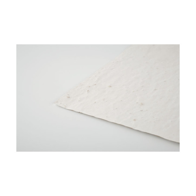 Arkusz A5 z nasionami kwiatów ASIDE