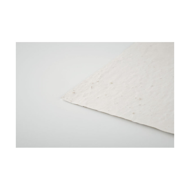 Arkusz A6 z nasionami kwiatów ASIDO