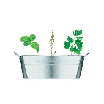 Cynkowa wanienka z nasionami MIX SEEDS Cynkowa wanienka z nasionami MIX SEEDS