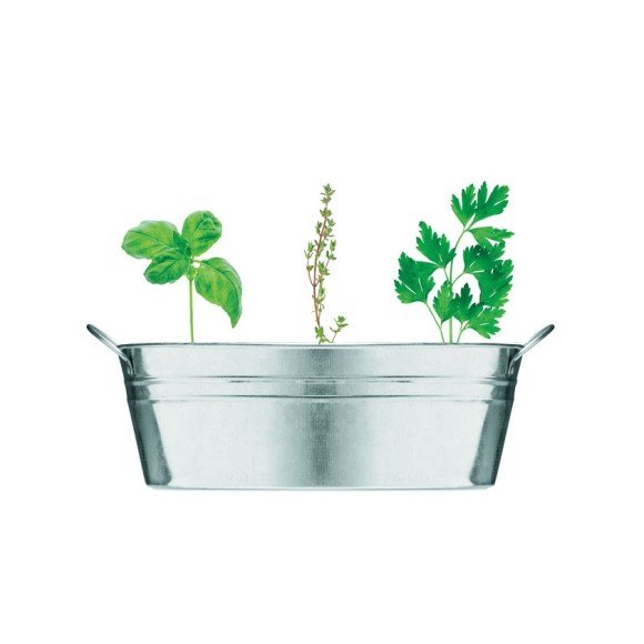 Cynkowa wanienka z nasionami MIX SEEDS
