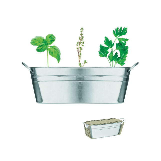 Cynkowa wanienka z nasionami MIX SEEDS