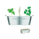 Cynkowa wanienka z nasionami MIX SEEDS
