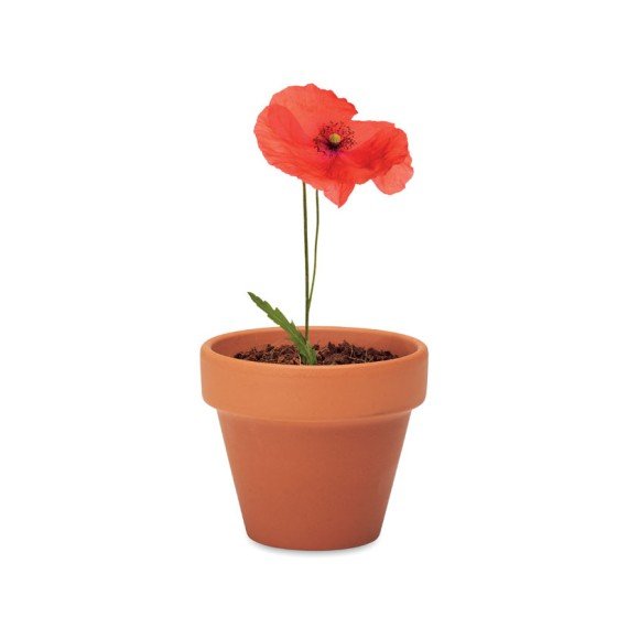 Doniczka, mak RED POPPY