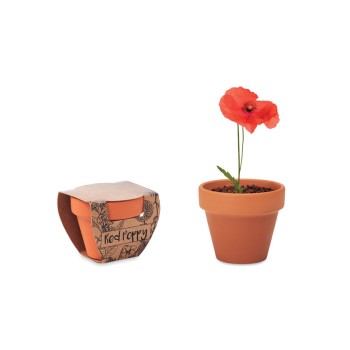 Doniczka, mak RED POPPY