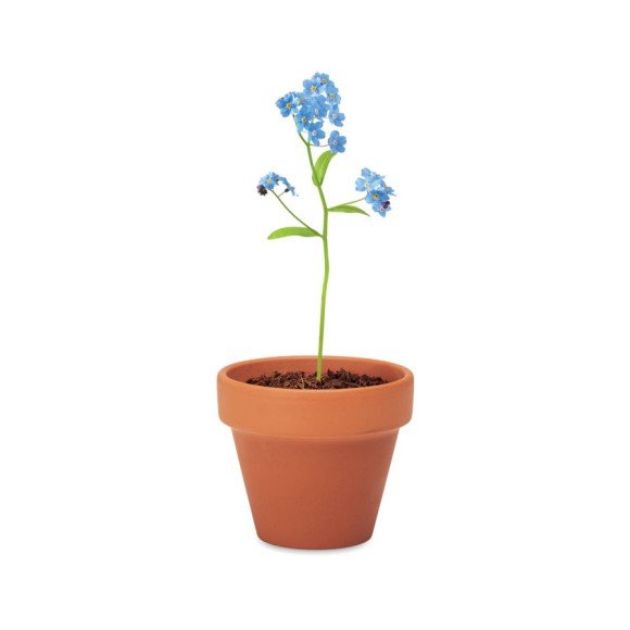 Doniczka, niezapominajka FORGET ME NOT