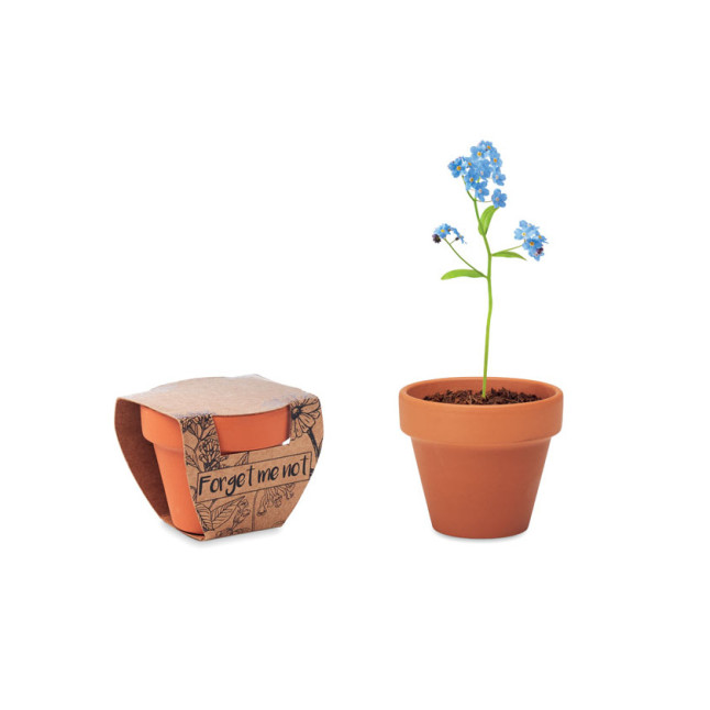 Doniczka, niezapominajka FORGET ME NOT