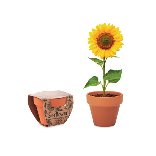 Doniczka, słonecznik SUNFLOWER