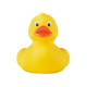 Kaczka PVC DUCK