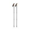 Kijki do nordic walking NOLE Kijki do nordic walking NOLE