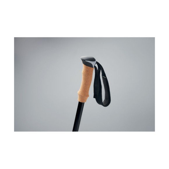 Kijki do nordic walking NOLE Kijki do nordic walking NOLE