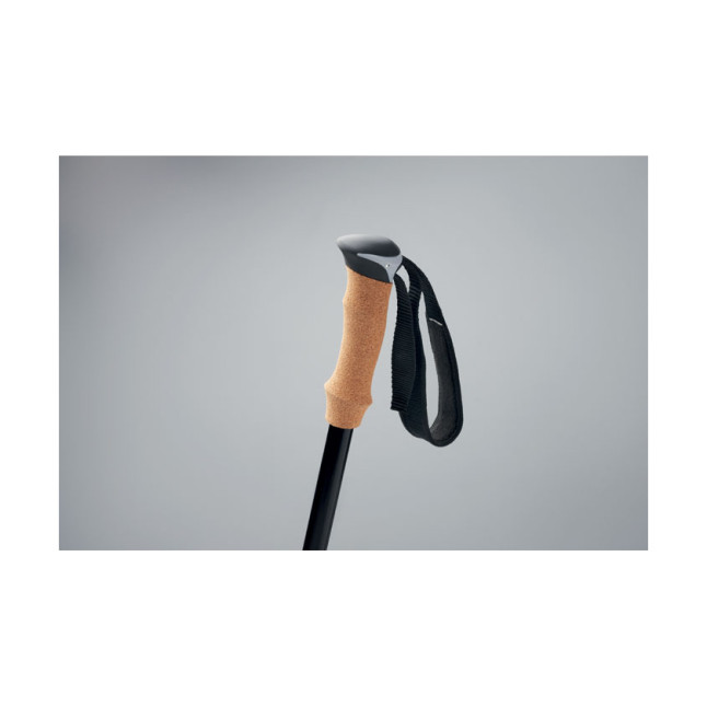 Kijki do nordic walking NOLE