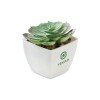 Mini sztuczna roślina ARTIECHE Mini sztuczna roślina ARTIECHE