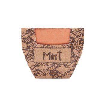 Nasiona mięty w doniczce MINT POT Nasiona mięty w doniczce MINT POT