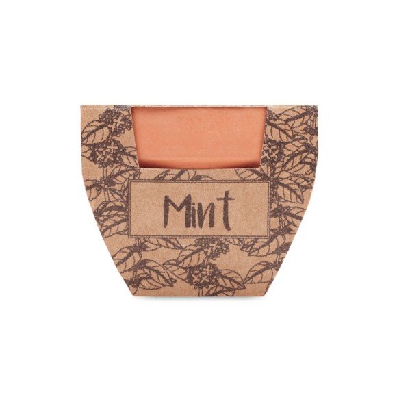 Nasiona mięty w doniczce MINT POT Nasiona mięty w doniczce MINT POT