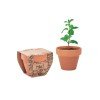 Nasiona mięty w doniczce MINT POT Nasiona mięty w doniczce MINT POT