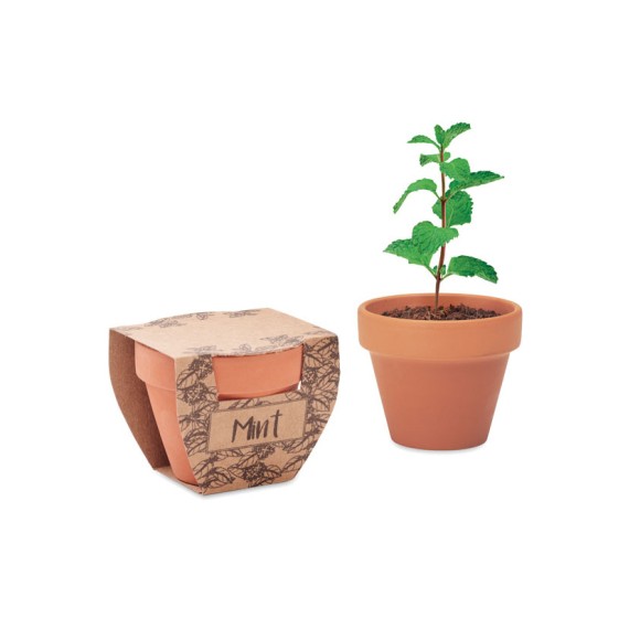 Nasiona mięty w doniczce MINT POT Nasiona mięty w doniczce MINT POT