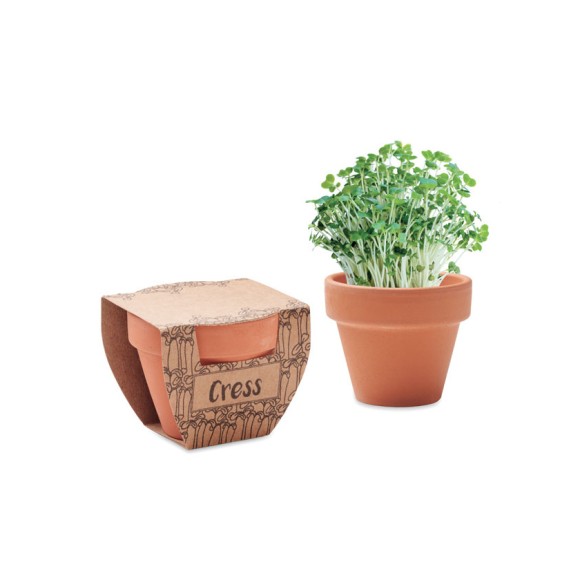 Nasiona rzeżuchy w doniczce CRESS POT
