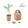 Nasiona sosny, torf, doniczka GROWTREE™ Nasiona sosny, torf, doniczka GROWTREE™