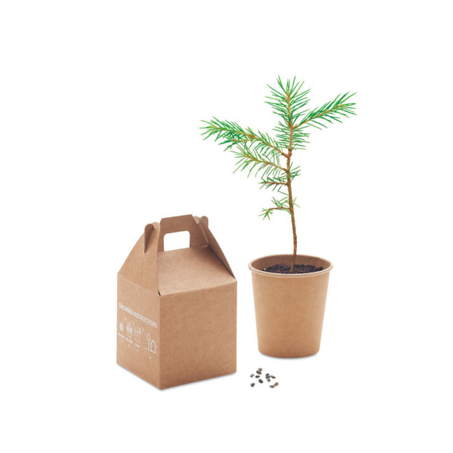 Nasiona sosny, torf, doniczka GROWTREE™