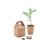 Nasiona sosny, torf, doniczka GROWTREE™ Nasiona sosny, torf, doniczka GROWTREE™