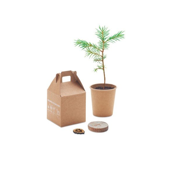 Nasiona sosny, torf, doniczka GROWTREE™ Nasiona sosny, torf, doniczka GROWTREE™
