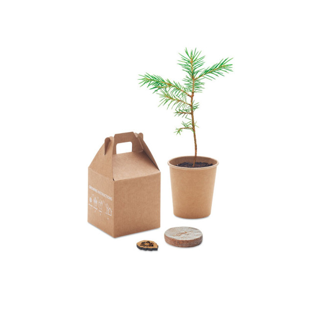 Nasiona sosny, torf, doniczka GROWTREE™