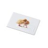 Pendrive 16GB MEMORAMA Pendrive 16GB MEMORAMA