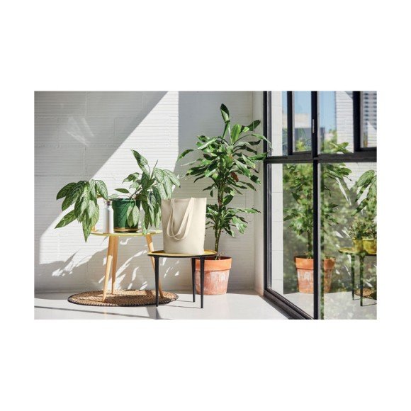Płócienna torba 270 gr / m² RASSA Płócienna torba 270 gr / m² RASSA