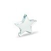 Szklana statuetka gwiazda STARWARD Szklana statuetka gwiazda STARWARD