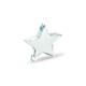 Szklana statuetka gwiazda STARWARD