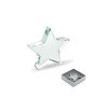 Szklana statuetka gwiazda STARWARD