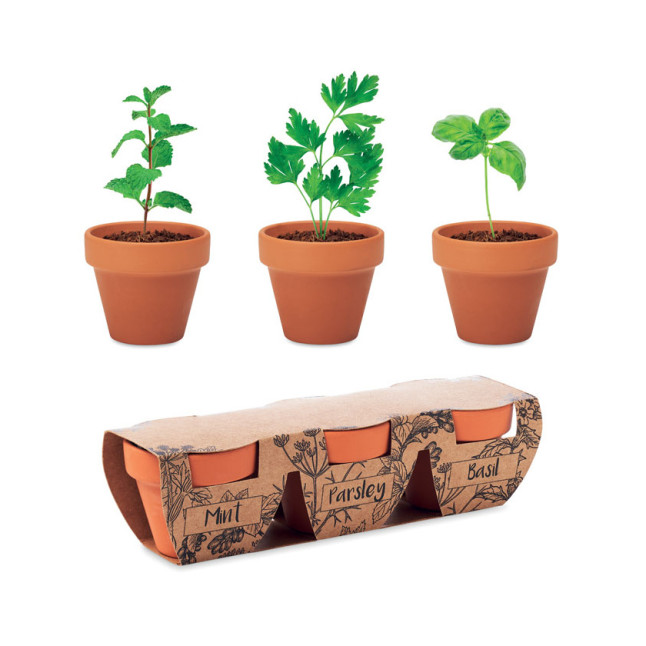 Zestaw 3 doniczek z terakoty FLOWERPOT