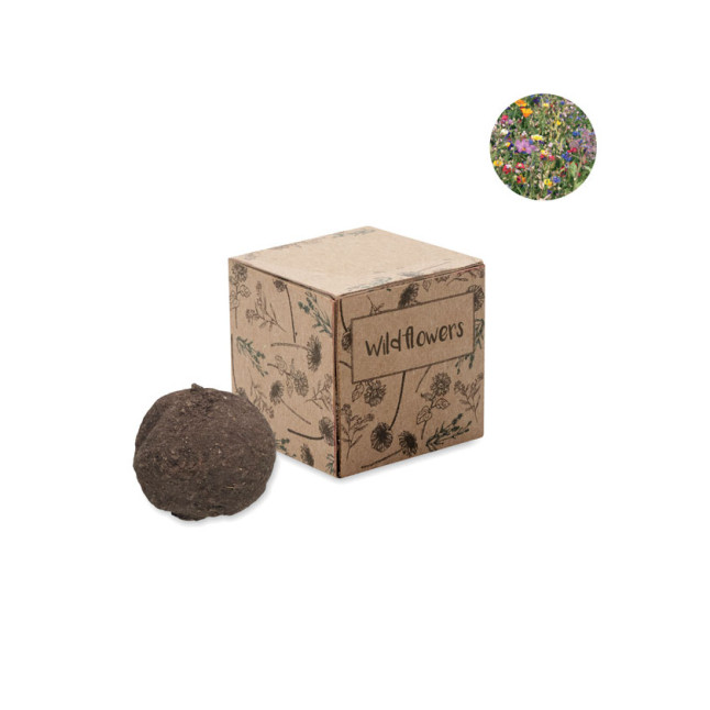 Zestaw do uprawy bomby nasion BOMBI