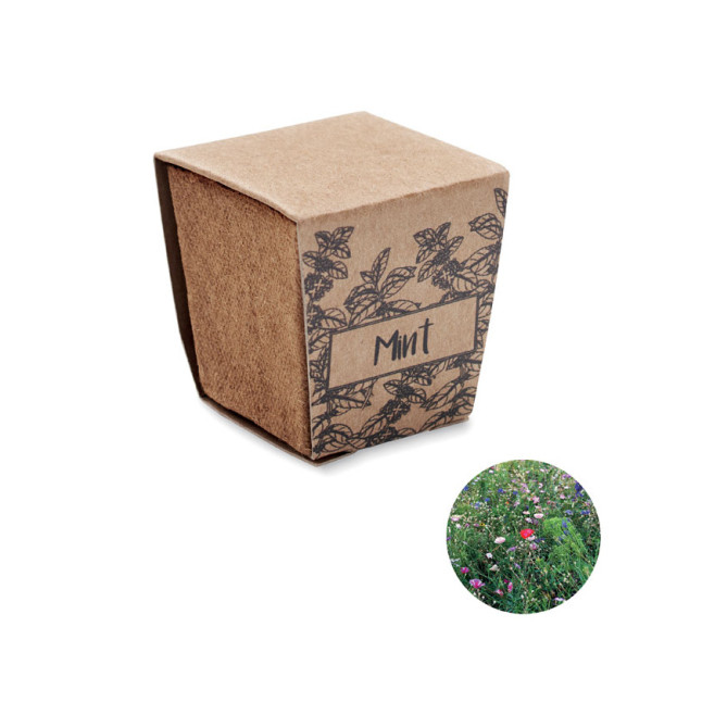 Zestaw do uprawy mięty MINT KIT