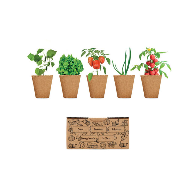 Zestaw do uprawy sałaty SALAD