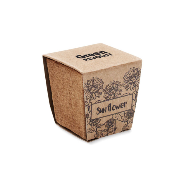 Zestaw do uprawy słonecznika SUNFLOWER KIT