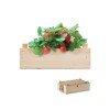 Zestaw do uprawy truskawek STRAWBERRY Zestaw do uprawy truskawek STRAWBERRY
