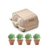 Zestaw do uprawy w kartonie CRESS Zestaw do uprawy w kartonie CRESS