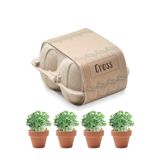 Zestaw do uprawy w kartonie CRESS